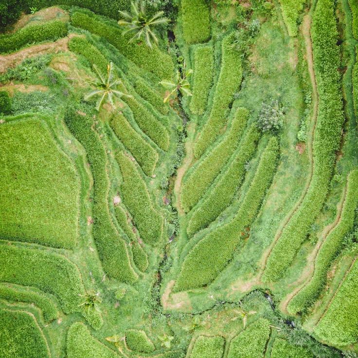 Family terraces and cafГ©s for calm evenings in Paris